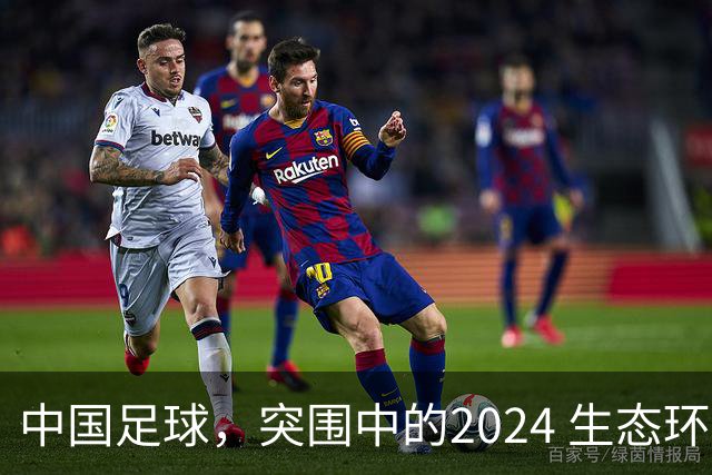 中国足球，突围中的2024 生态环境将实现好转