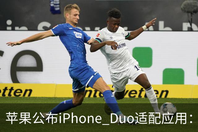 苹果公布iPhone Duo适配应用：爱奇艺、WPS、淘宝等在列